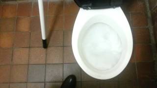 Disabled toilet at Rye Harbour [upl. by Annadiana]