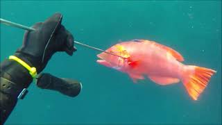 Azores spearfishing  Back in the days [upl. by Nosac260]