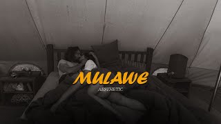 Mulawe  මුලාවෙ SlowedReverbed Version [upl. by Kcirddec]