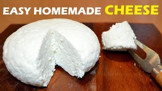 How to Make Cheese at Home  2 ingredient Easy Cheese Recipe [upl. by Pasahow]