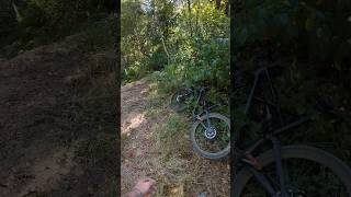 Floating through the woods 🙌🏻 mtb shorts mtblife 29er dirtjump mtbtrails mtbbike [upl. by Gnov]