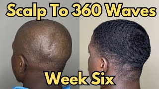 Scalp to 360 Waves  Week 6 [upl. by Anabahs]