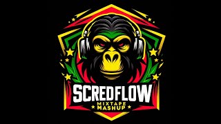 Mixtape MashUp  ScredFloW [upl. by Ellekcir]