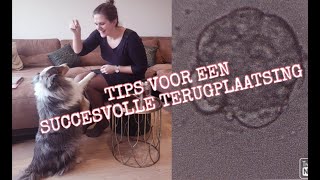 Mijn TIPS voor een succesvolle terugplaatsing na IVF  ICSI [upl. by Atteval]