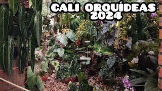 CALI ORQUÍDEAS ORQUIDEORAMA 2024 §LIZZ Y SU VIVERO 😍🤩😱🫣 [upl. by Luciana]