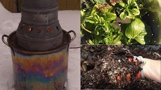 How I Get My Gardening Fix in the Winter [upl. by Ecirrehs]