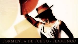 Tormenta De Fuego  Flamenco ▄ █ ▄ █ ▄ [upl. by Nanyt]