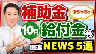 【秋の給付金、児童手当の拡充、NHKネット受信料1100円に！など～10月度 補助金・給付金ニュース５選】最低賃金、過去最大の引上げ ユニークな自治体の助成金 厚労省支援策 （24年10月時点） [upl. by Balbinder45]