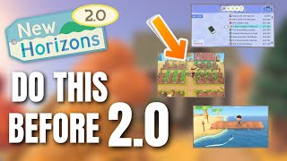 5 THINGS TO DO BEFORE THE 20 UPDATE  Animal Crossing New Horizons [upl. by Gottwald387]