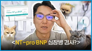 NTproBNP 검사 왜 심장병일 때 할까👨🏻‍⚕️｜검사 비용이 부담된다면｜심장병 검사｜심장초음파｜Troponin I검사란💙 [upl. by Toombs]