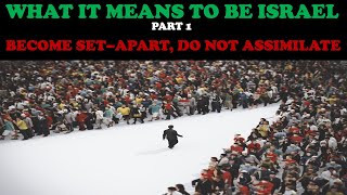 WHAT IT MEANS TO BE ISRAEL PT 1 BECOME SETAPART DO NOT ASSIMILATE [upl. by Wendolyn]