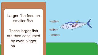 Bioaccumulation How Pollutants Affect Organisms and Their Environmentquot 🌍🐟 [upl. by Ezalb]