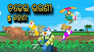 Chadhei Bhauni Special 5 kahani \\ Odia Stories \\ Bird Story \\ Odia Gapa \\ Stories [upl. by Jemmie916]