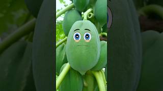 Papaya Has Babies  fruit surgery Fruitfix shorts Fruitfix54 [upl. by Nylarak115]