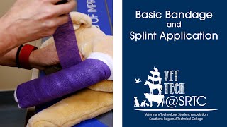 Basic Bandage and Splint Application [upl. by Boutis571]