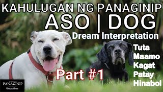 Panaginip na Aso  Kahulugan  Anong Ibig Sabihin  Dog Dream Interpretation  Tagalog  English Sub [upl. by Klemens]