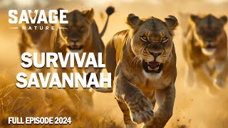 WILD SAVANNAH Apex Predators Survive in the Heart of Africa  Animal Documentary [upl. by Ball18]