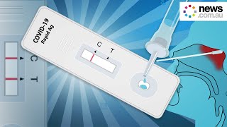 How to take a Rapid COVID Test [upl. by Gahan]