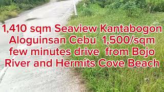 1410 sqm Seaview at Aloguinsan Cebu Philippines 1500sqm negotiable [upl. by Chinua211]