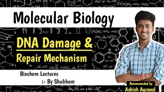 DNA Damage And Repair Mechanism  Molecular Biology  Biochemistry lectures  Ashish [upl. by Celia]