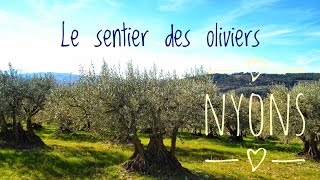 Nyons Drôme Discover The Olive Trail  Le sentier des Oliviers [upl. by Asiled837]