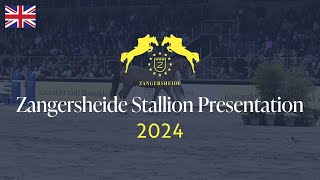 🇬🇧 Studfarm Zangersheide Stallion Presentation [upl. by Ordisi842]