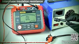 Test ANENG MH13 Ohm Tester Digital Multimeter Megometro Insulation Review Aliexpress [upl. by Nnaitak]