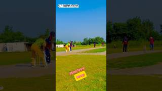 Fastest wicket keeper Stump 😱🔥cricketshorts short shorts youtubeshorts status cricket [upl. by Ybab]