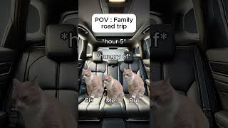 Cat memes 🐱 Family road trip catmemes relatable cat catshorts shorts family roadtrip [upl. by Assenaj]