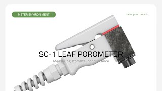 Meet the SC1 Leaf Porometer [upl. by Halbeib]