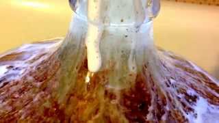 Carboy cleaning with Oxi Clean [upl. by Siana324]