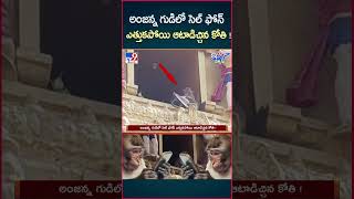 iSmart News  అంజన్న గుడిలో సెల్ ఫోన్ ఎత్తుకపోయి ఆటాడిచ్చిన కోతి   Monkey Cellphone  TV9 [upl. by Longo663]