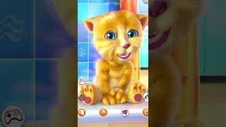 Talking Ginger Meets His Doppelganger 🐱👀  Hilarious Reaction” [upl. by Higgins]