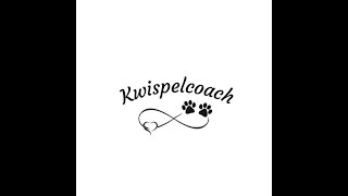 Kwispelcoach Ontspannen wandelen met je hond [upl. by Namialus]