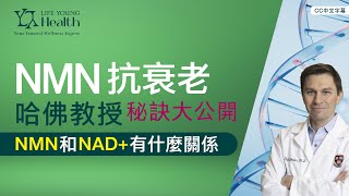 NMN 為什麼可以抗衰老｜NMN和NAD有什麼關係｜NMN 的原理是什麼｜哈佛教授抗衰老秘訣大公開｜CC中文字幕｜LIPOSOMAL NMN [upl. by Utham]