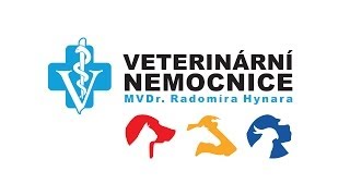 Veterinární nemocnice [upl. by Rumery]