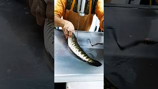 Omg giant live river shoal fish cutting skills video fish cutting show shorts reels youtube [upl. by Hannah]