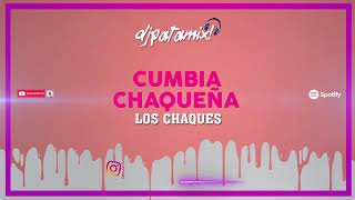 CUMBIA CHAQUEÑA Edicion Los Chaques 🎧🇦🇷 DJ Patamix [upl. by Brunn]