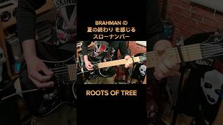 BRAHMAN  ROOTS OF TREE ギター弾いてみた（イントロ）🎸 [upl. by Noxas]