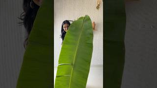 Grand looking bananaleaf toranam in 5 minutes for Diwali housewarmingdecor toranam toran [upl. by Giess]