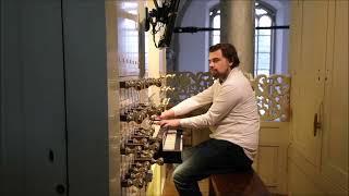 Een vaste Burcht  Ein feste Burg  Variation amp Toccata  Improvisation [upl. by Elegna]