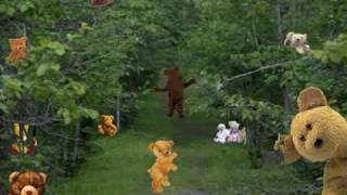 Teddy Bears Picnic  sung by Anne Murray [upl. by Aynek]