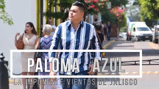 LaImponente  Paloma Azul Video Lyric [upl. by Maure90]