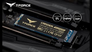 TForce CARDEA A440 Pro Graphene 4TB Review [upl. by Ynnol]