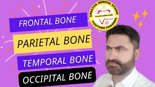 Frontal bone Parietal bone Temporal bone Occipital bone [upl. by Repard]