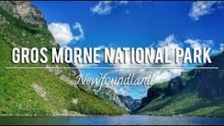 10 things to see around Newfoundlands Gros Morne National Park [upl. by Yeslehc325]