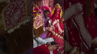 Rajputi wedding  youtubeshort love baisaculture wedding rajputbaisa trending wha [upl. by Latini566]