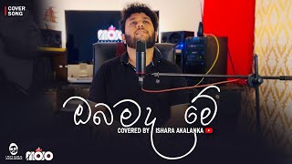 Obamada me I ඔබමද මේ  Covered by Ishara Akalanka [upl. by Palma]