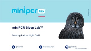 Live Demo miniPCR Sleep Lab™ [upl. by Atteynad]