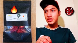 Probando el Chile Carolina Reaper Con habanero 🔥🌶 Beto Locuras 😈 [upl. by Dnaltroc]